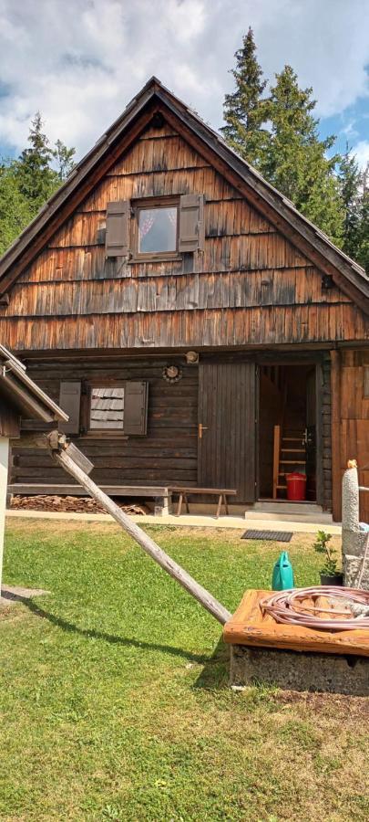 Вилла Planinska Hisica Pod Macesni - Bohinj Средня-Вас-в-Бохиню Экстерьер фото
