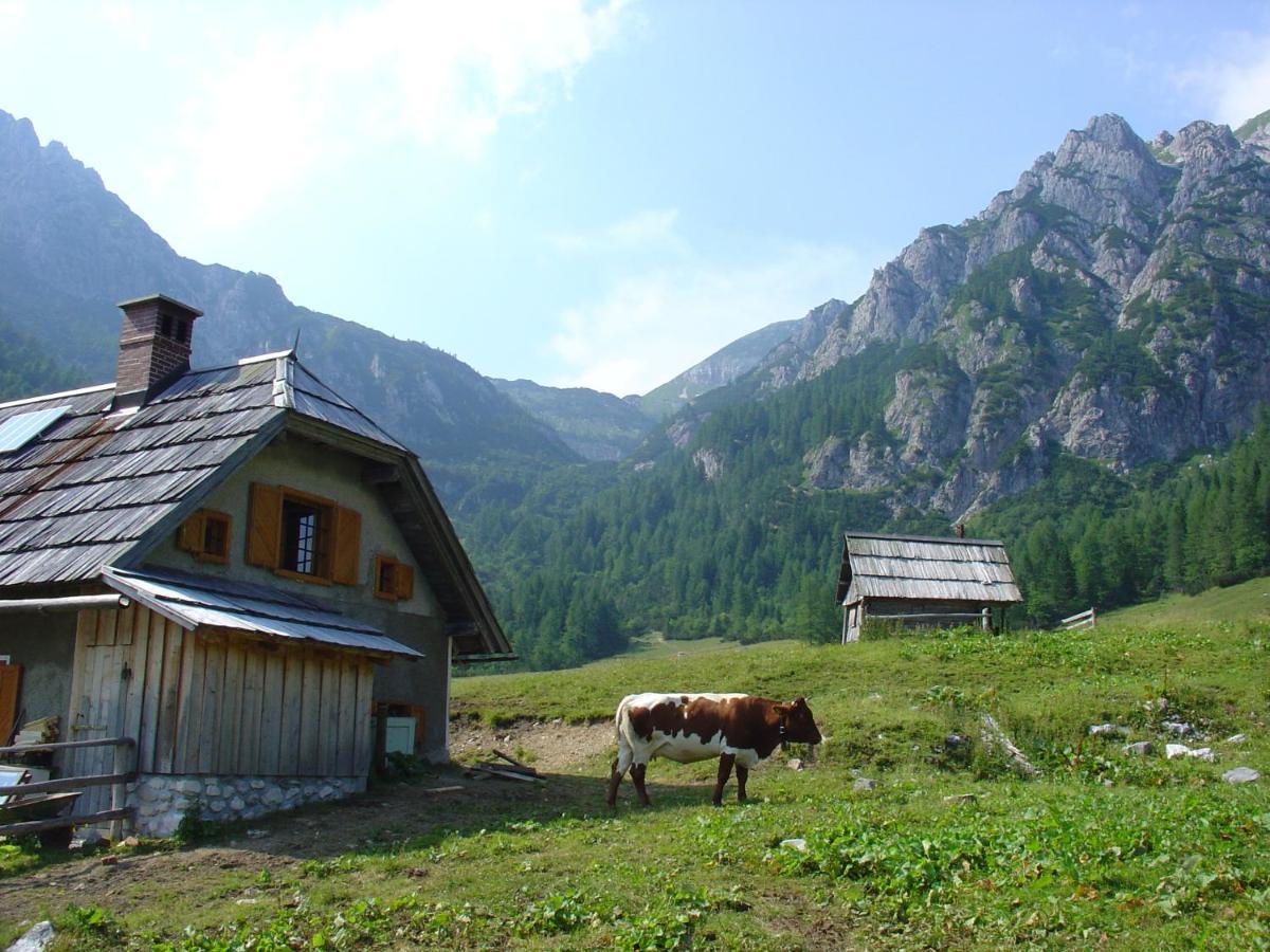 Вилла Planinska Hisica Pod Macesni - Bohinj Средня-Вас-в-Бохиню Экстерьер фото